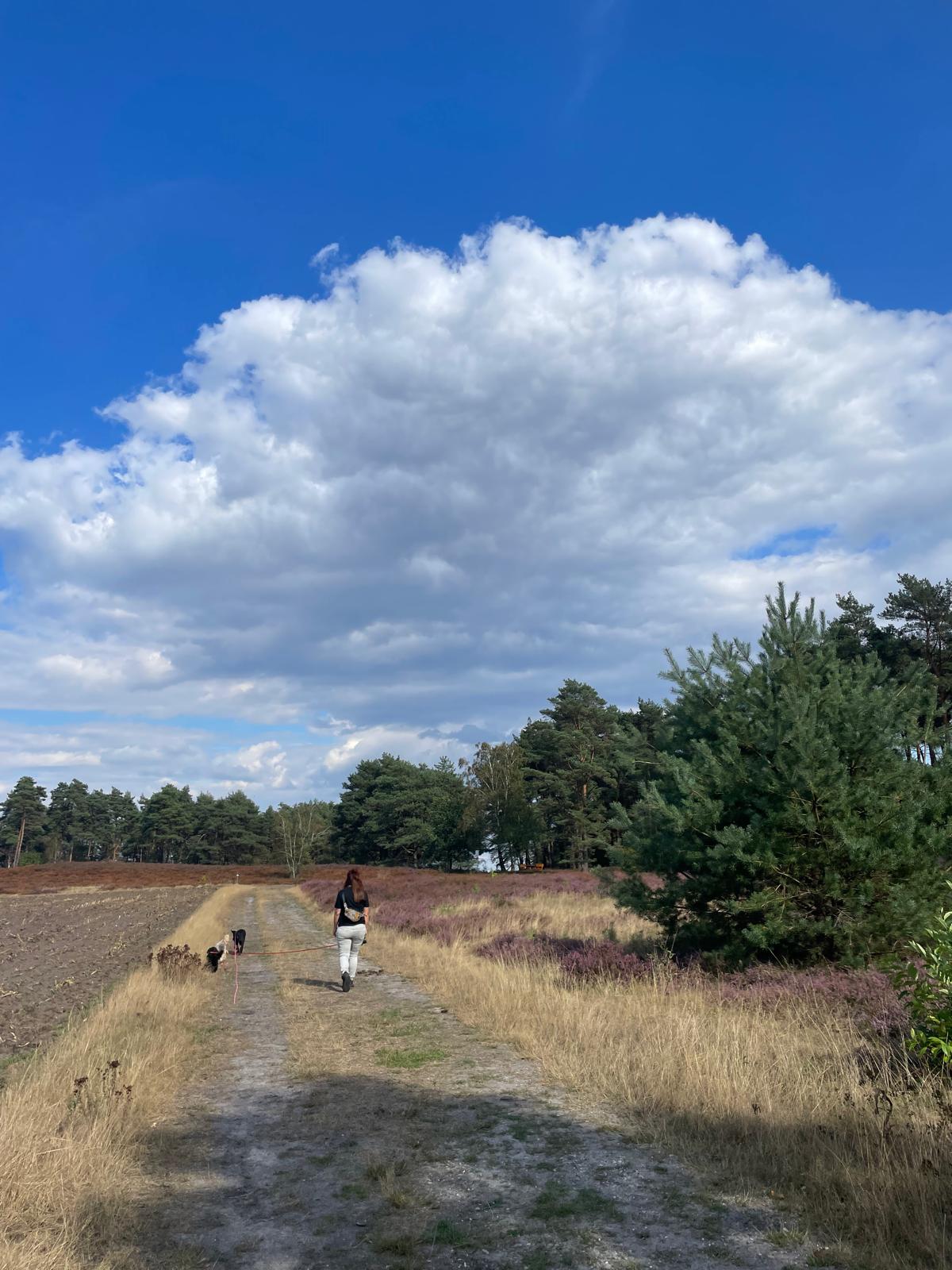 Kerstin mit ihren Hunden auf einem Heideweg